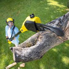 Best Lawn Watering Services  in Garden City, SC